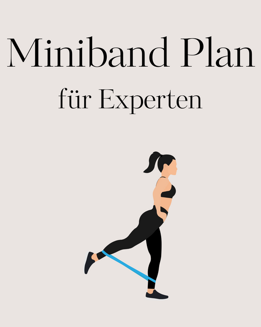 Miniband Trainingsplan Experte