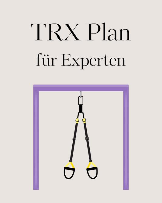 TRX Trainingsplan Experten 2